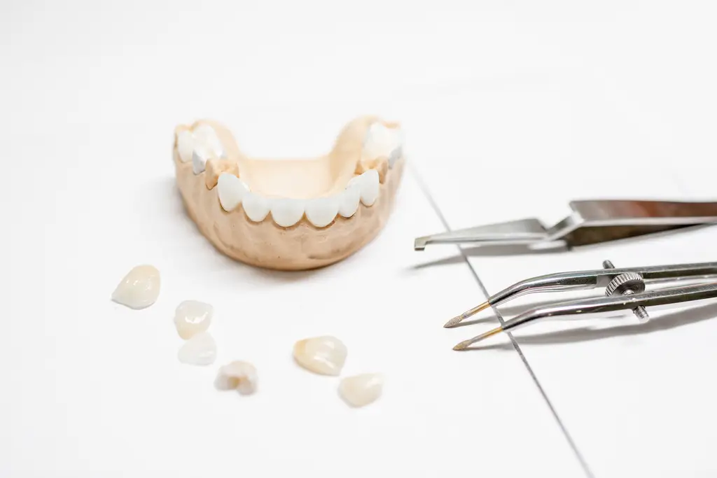 Dental model with porcelain veneers and crowns arranged nearby, alongside dental tools on a white surface.