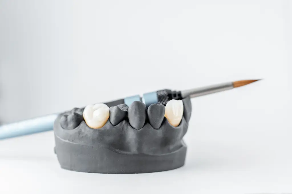 Dental crown model showing individual teeth prepared for restoration, with a dental brush resting on top.